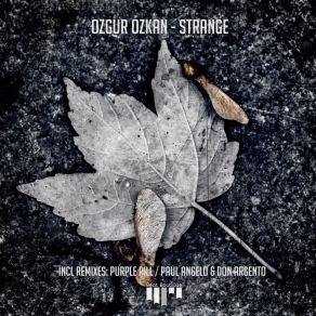 Download track Strange (Paul Angelo & Don Argento Remix) Ozgur Ozkan, Paul Angelo, Don Argento, Purple Pill