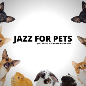 Download track Perfect Happy Pets Thanks To Jazz Music Jazz For Pets