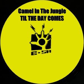 Download track Til The Day Comes (Instrumental) Camel In The JungleΟΡΓΑΝΙΚΟ