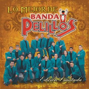 Download track Sorbito De Champagne Banda Pelillos