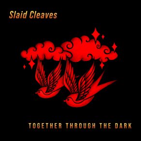 Download track Through The Dark Slaid Cleaves