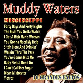 Download track I Got A Rich Man's Woman Muddy Waters