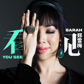 Download track 爱的恩典 Sarah Cheng-De Winne