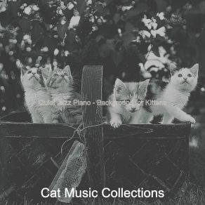 Download track Sensational Solo Piano Jazz - Vibe For Cats Cat Music Collections