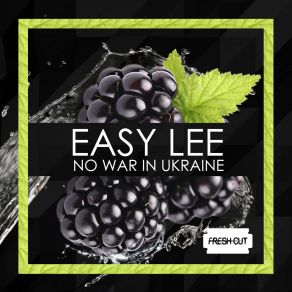 Download track Ukraine Original Mix Easy Lee