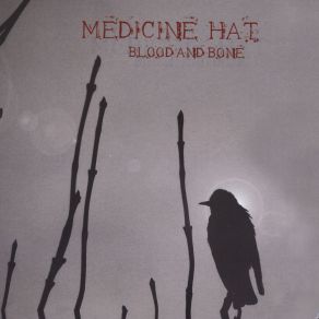 Download track Mudhen Medicine Hat