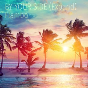 Download track By Your Side (Expand) Flambo