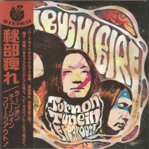 Download track Hibushibire - Turn On, Tune In, Freak Out! - 04 - Rollercoaster Of The Universe Tune-In, Hibushibire