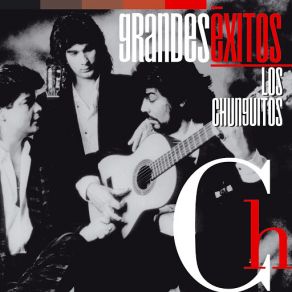 Download track En La Chabola Los Chunguitos