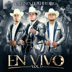 Download track Te Amo (En Vivo) Varones De Chihuahua