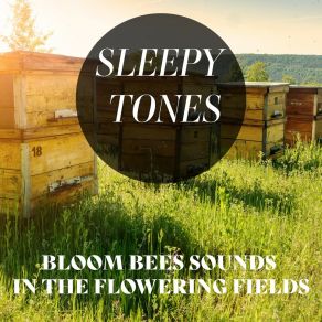 Download track Bloom Bees Sounds In The Flowering Fields, Pt. 15 Jason Rivers