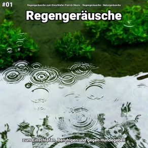 Download track Regengeräusche, Pt. 86 Naturgeräusche