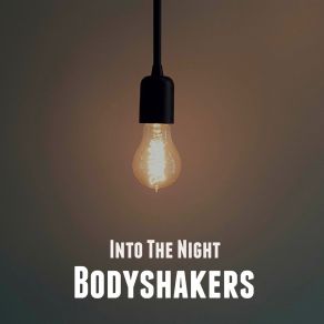 Download track Into The Night (Extended Mix) Bodyshakers