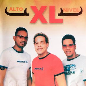 Download track Pa´brincar Y Menear XL Alto Nivel