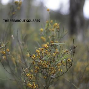 Download track Ghost Heart The Freakout Squares