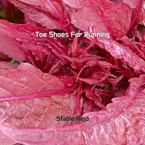 Download track Toe Shoes For Running Stable Mind