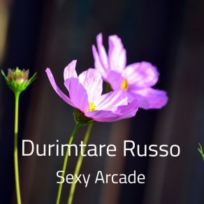 Download track How Connection Durimtare Russo