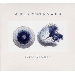 Download track Hidden Moon Medeski Martin, THE WOOD