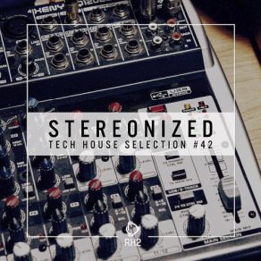 Download track Have You Hear (Original Mix) StereonizedJames Meid