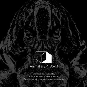 Download track Pyrophorus, Coleoptera (Original Mix) Dvazz Brothers