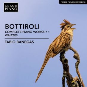 Download track Waltz In G Major, B22 Fabio Banegas