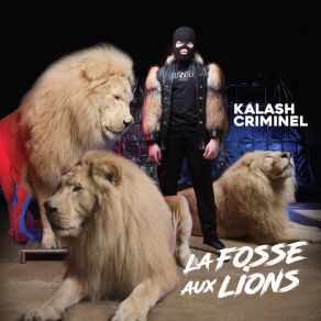 Download track Dans La Fosse Kalash Criminel