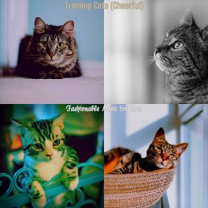 Download track Sleeping Cats - Ambience Fashionable Music For Cats