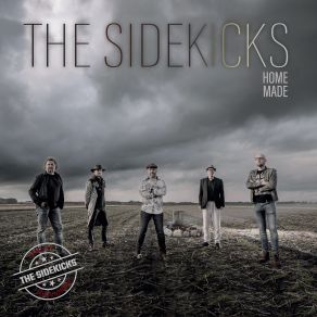 Download track Last Fool The Sidekicks