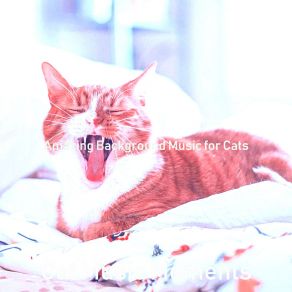 Download track Fabulous Resting Cats Cat Music Moments