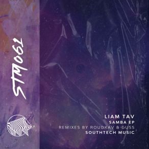 Download track Samba (Guss Remix) Liam TavGuss