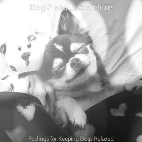 Download track Heavenly Calming Your Dog Dog Jazz Deluxe