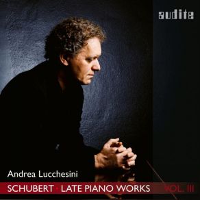 Download track Piano Sonata No. 18 In G Major, D. 894 'Fantasia': II. Andante Andrea Lucchesini