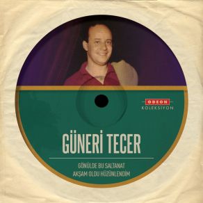 Download track Gönülde Bu Saltanat Güneri Tecer