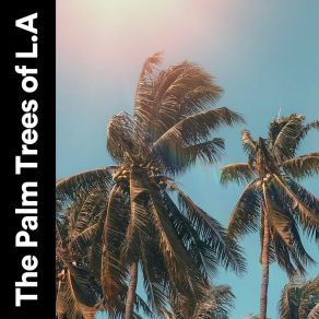 Download track Palm Trees Of L. A Deep House Lounge