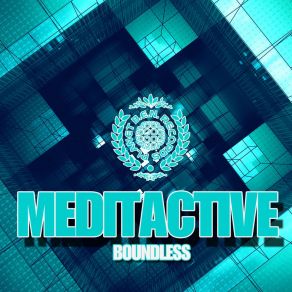 Download track Choice Meditactive