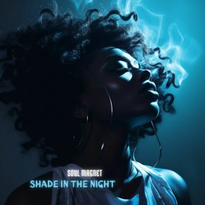 Download track Shade In The Night (Instrumental Mix) Soul Magnet