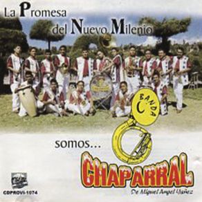 Download track Nieves De Enero Banda Chaparral De Miguel Angel Yañez