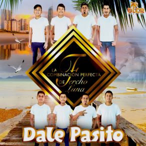 Download track Dale Pasito La Combinacion Perfecta De Fercho Luna