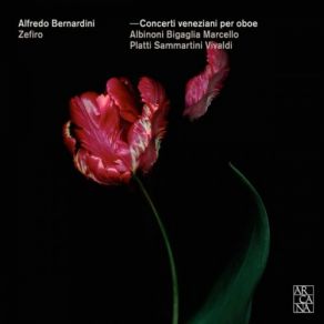 Download track Oboe Concerto In D Minor: I. Andante E Spiccato Zefiro Baroque Orchestra, Alfredo Bernardini, Zefiro