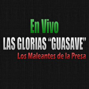 Download track Los Vergelitos (En Vivo) Los Maleantes De La Presa