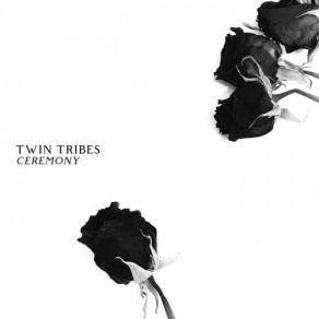 Download track The River Twin Tribes