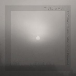 Download track Left Hand Path Luna Moth