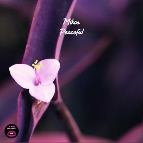 Download track Peaceful Mikos