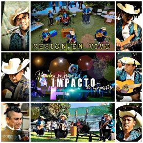 Download track Amor Limosnero (En Vivo) Su Grupo Impacto De Guerrero