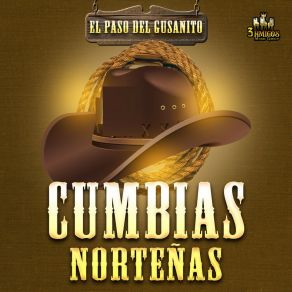 Download track Juguito De Piña Cumbias Nortenas