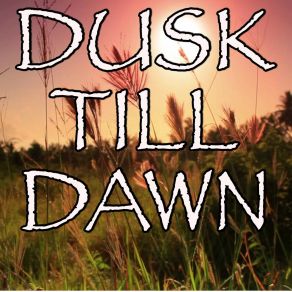 Download track Dusk Till Dawn - Tribute To Zayn And Sia (Instrumental Version) Billboard