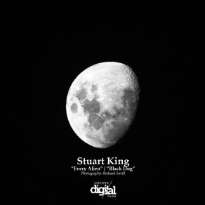 Download track Black Dog (Original Mix) Stuart King