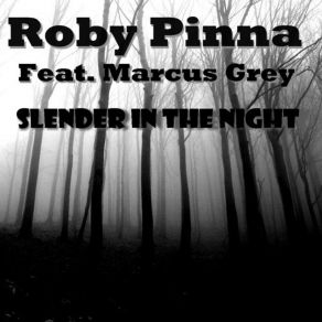 Download track Slender In'the Night (Radio) Roberto Pinna, Marcus Grey