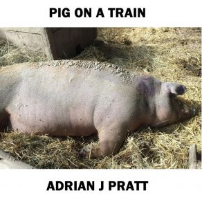 Download track Pig On A Train Adrian J Pratt