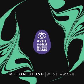 Download track Trip To Lyns Melon Blush